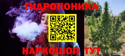 винт Бердск