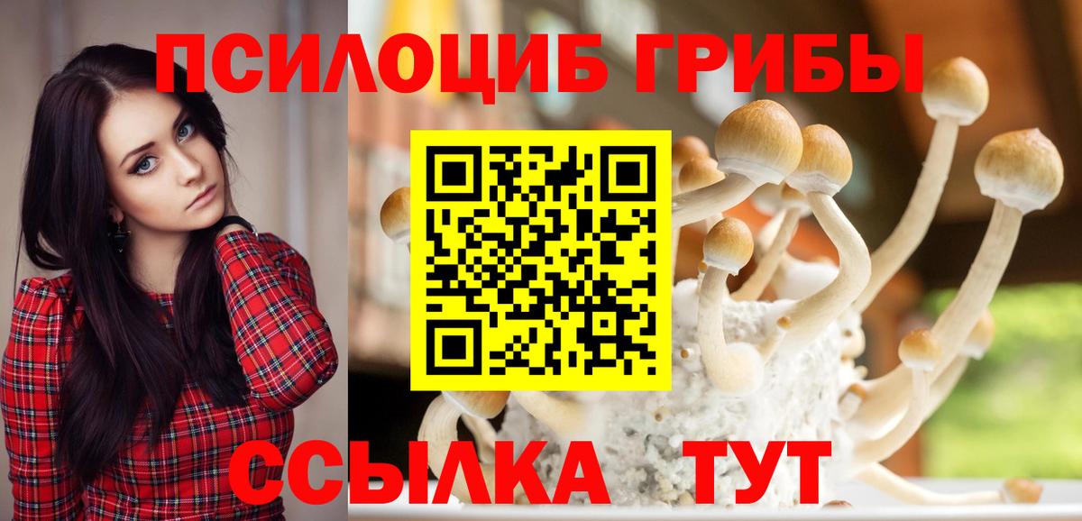 Галлюциногенные грибы мицелий Саяногорск
