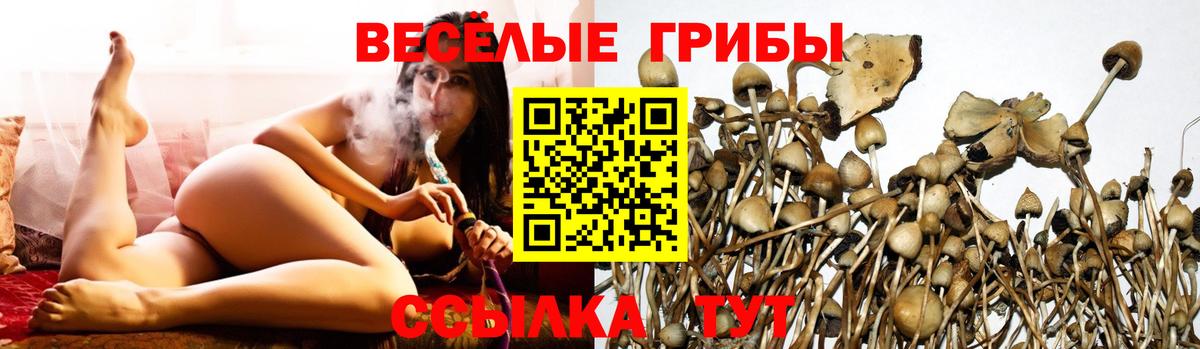 Галлюциногенные грибы GOLDEN TEACHER  Вход с VPN  Галлюциногенные грибы Cubensis  Саяногорск 