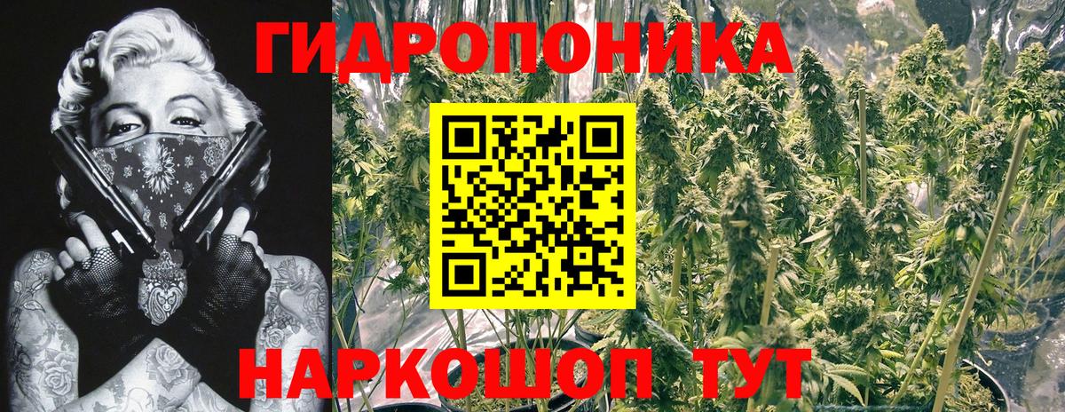 Марихуана планчик  Канабис план  Шишки марихуана гибрид  Конопля план  Саяногорск  Вход с VPN 